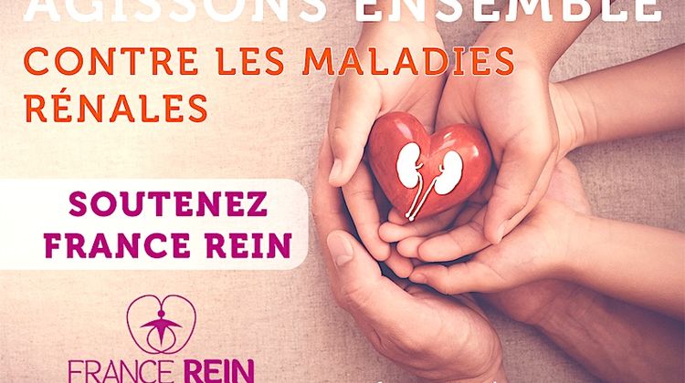 PREVENTION - Dépistage gratuit des maladies rénales à l’hôpital d’Auch
